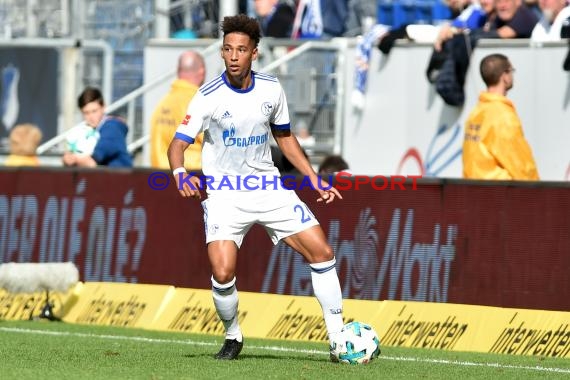 1.BL - 17/18 - TSG 1899 Hoffenheim vs. FC Schalke 04 (© Kraichgausport / Loerz)