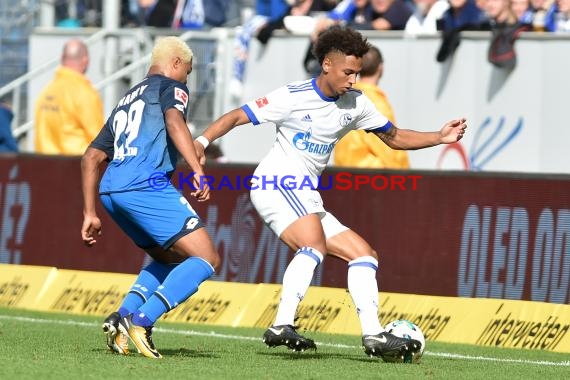 1.BL - 17/18 - TSG 1899 Hoffenheim vs. FC Schalke 04 (© Kraichgausport / Loerz)