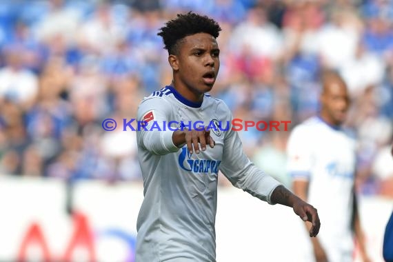 1.BL - 17/18 - TSG 1899 Hoffenheim vs. FC Schalke 04 (© Kraichgausport / Loerz)