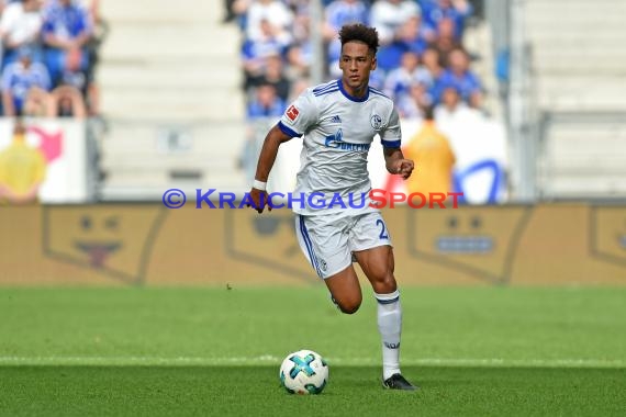 1.BL - 17/18 - TSG 1899 Hoffenheim vs. FC Schalke 04 (© Kraichgausport / Loerz)