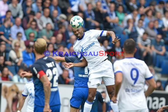 1.BL - 17/18 - TSG 1899 Hoffenheim vs. FC Schalke 04 (© Kraichgausport / Loerz)