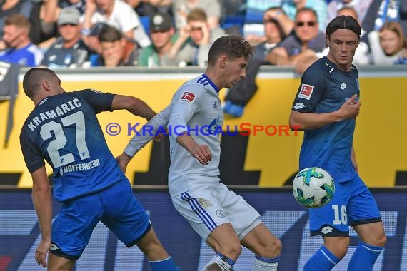 1.BL - 17/18 - TSG 1899 Hoffenheim vs. FC Schalke 04 (© Kraichgausport / Loerz)