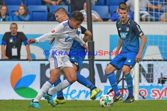 1.BL - 17/18 - TSG 1899 Hoffenheim vs. FC Schalke 04 (© Kraichgausport / Loerz)