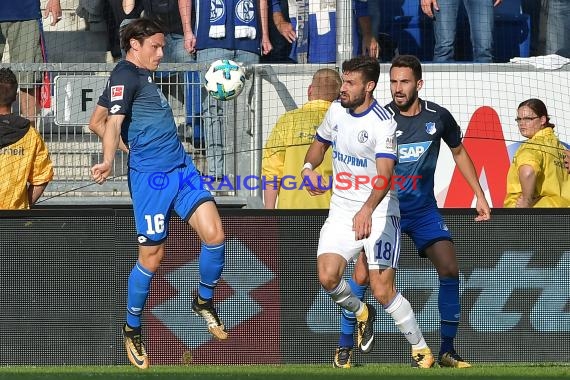 1.BL - 17/18 - TSG 1899 Hoffenheim vs. FC Schalke 04 (© Kraichgausport / Loerz)