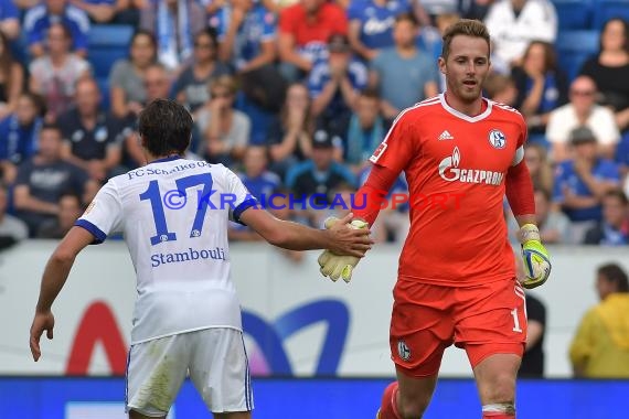 1.BL - 17/18 - TSG 1899 Hoffenheim vs. FC Schalke 04 (© Kraichgausport / Loerz)