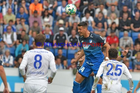 1.BL - 17/18 - TSG 1899 Hoffenheim vs. FC Schalke 04 (© Kraichgausport / Loerz)