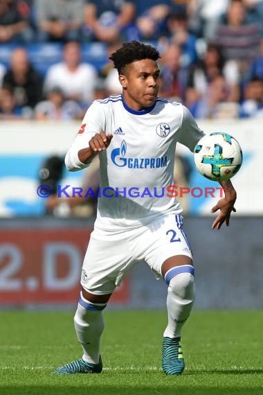 1.BL - 17/18 - TSG 1899 Hoffenheim vs. FC Schalke 04 (© Kraichgausport / Loerz)