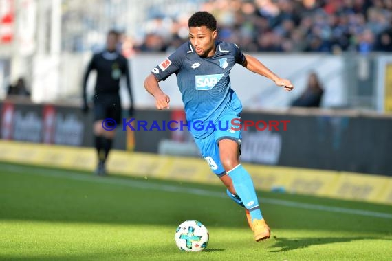 1.BL - 17/18 - TSG 1899 Hoffenheim vs. SC Freiburg (© Kraichgausport / Loerz)