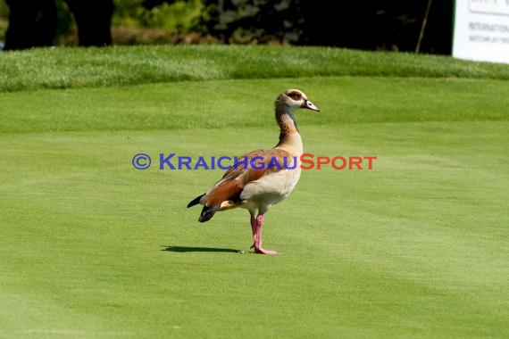 Symbolbilder - Coronavirus - 15.04.2020 (© Fotostand / Loerz)