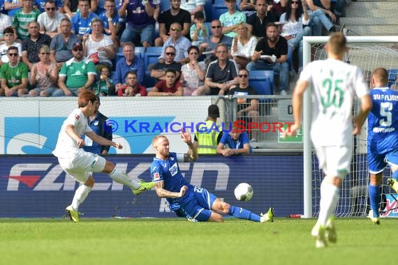 1.BL - 19/20 - TSG 1899 Hoffenheim vs. Werder Bremen (© Fotostand / Loerz)