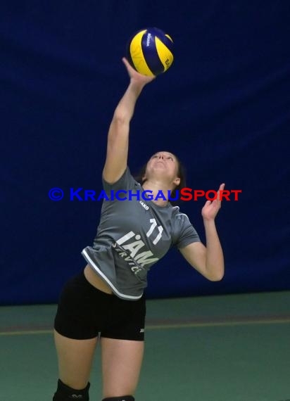 Volleyball Damen Oberliga SV Sinsheim-2 vs SSC Karlsruhe (© Siegfried Lörz)