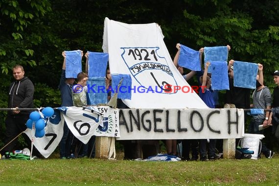 Relegation zur Kreisliga Sinshem FV Sulzfeld vs TSV Waldangelloch 04.06.2016 (© Siegfried)