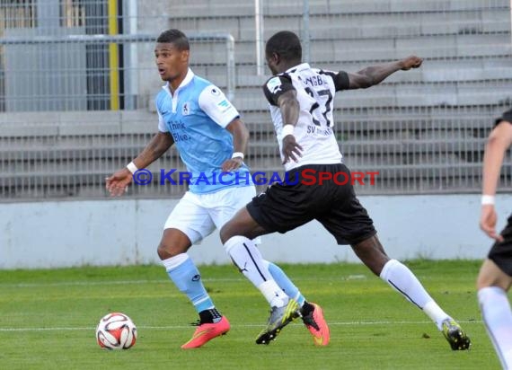 2. Bundesliga SV Sandhausen - TSV 1860 München Hardtwaldstadion Sandhausen 23.09.2014 (© Siegfried Lörz)