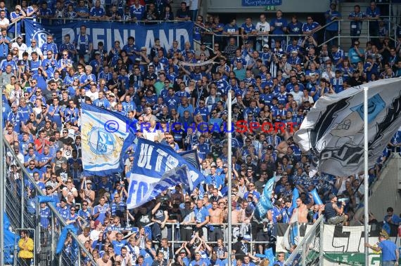 1. BL - 16/17 - TSG 1899 Hoffenheim vs. FC Schalke 04 (© Kraichgausport / Loerz)