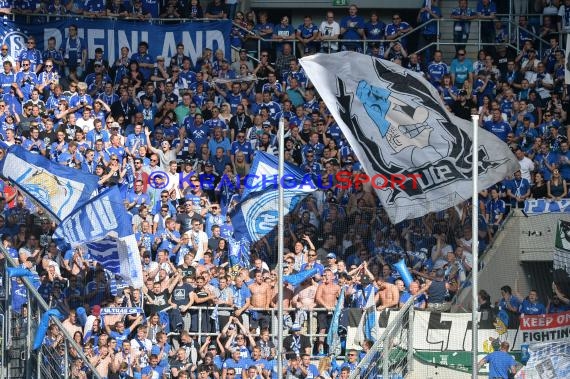 1. BL - 16/17 - TSG 1899 Hoffenheim vs. FC Schalke 04 (© Kraichgausport / Loerz)