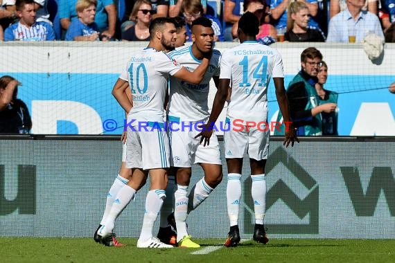 1. BL - 16/17 - TSG 1899 Hoffenheim vs. FC Schalke 04 (© Kraichgausport / Loerz)