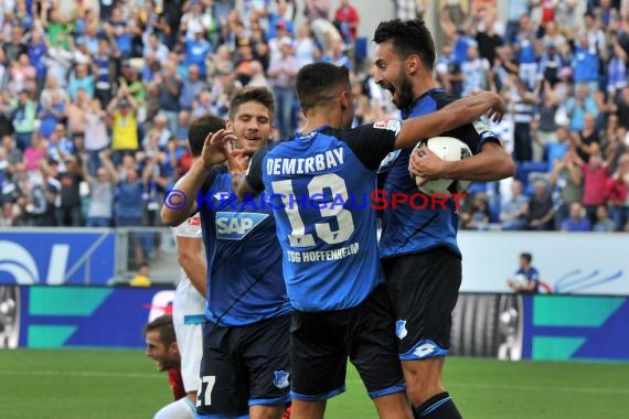 1. BL - 16/17 - TSG 1899 Hoffenheim vs. FC Schalke 04 (© Kraichgausport / Loerz)