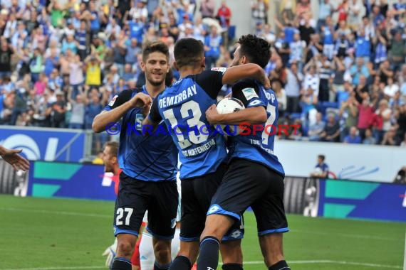 1. BL - 16/17 - TSG 1899 Hoffenheim vs. FC Schalke 04 (© Kraichgausport / Loerz)