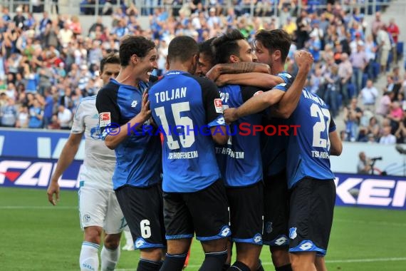 1. BL - 16/17 - TSG 1899 Hoffenheim vs. FC Schalke 04 (© Kraichgausport / Loerz)