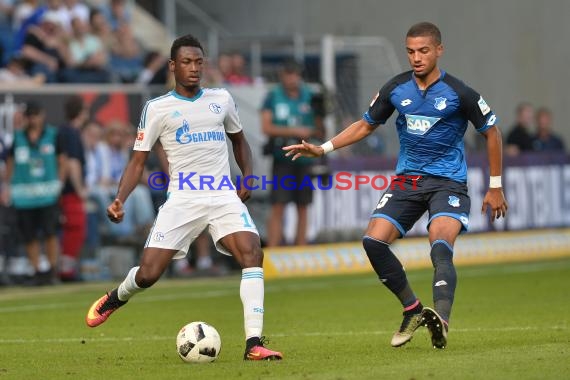 1. BL - 16/17 - TSG 1899 Hoffenheim vs. FC Schalke 04 (© Kraichgausport / Loerz)