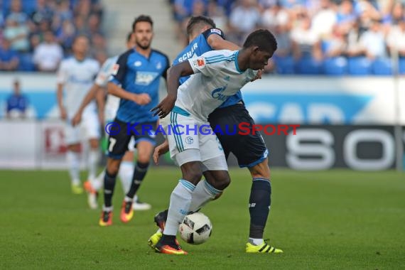 1. BL - 16/17 - TSG 1899 Hoffenheim vs. FC Schalke 04 (© Kraichgausport / Loerz)