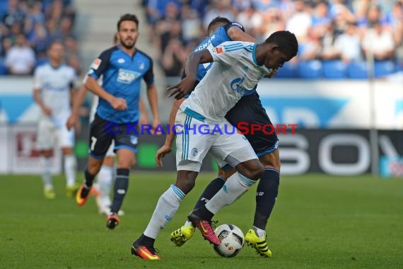 1. BL - 16/17 - TSG 1899 Hoffenheim vs. FC Schalke 04 (© Kraichgausport / Loerz)