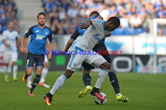 1. BL - 16/17 - TSG 1899 Hoffenheim vs. FC Schalke 04 (© Kraichgausport / Loerz)