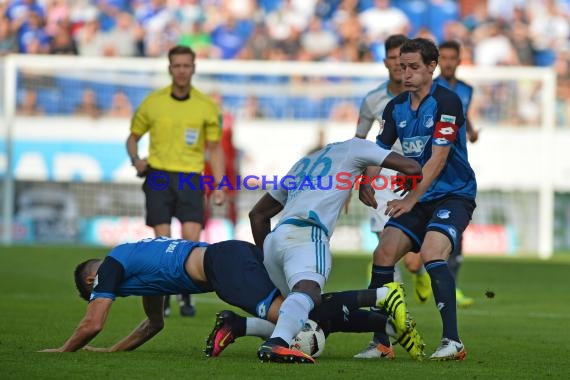 1. BL - 16/17 - TSG 1899 Hoffenheim vs. FC Schalke 04 (© Kraichgausport / Loerz)