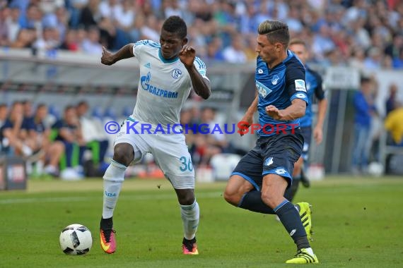 1. BL - 16/17 - TSG 1899 Hoffenheim vs. FC Schalke 04 (© Kraichgausport / Loerz)