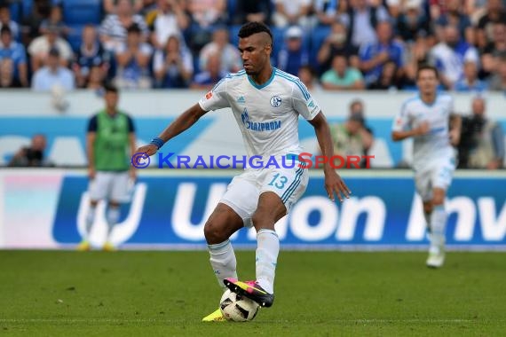 1. BL - 16/17 - TSG 1899 Hoffenheim vs. FC Schalke 04 (© Kraichgausport / Loerz)