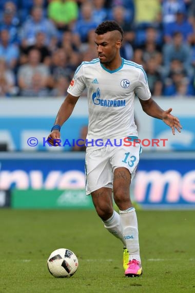 1. BL - 16/17 - TSG 1899 Hoffenheim vs. FC Schalke 04 (© Kraichgausport / Loerz)