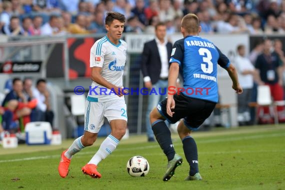 1. BL - 16/17 - TSG 1899 Hoffenheim vs. FC Schalke 04 (© Kraichgausport / Loerz)