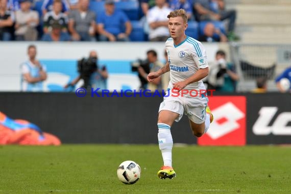 1. BL - 16/17 - TSG 1899 Hoffenheim vs. FC Schalke 04 (© Kraichgausport / Loerz)