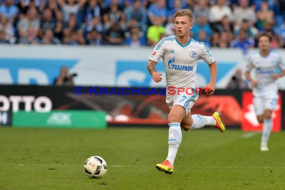 1. BL - 16/17 - TSG 1899 Hoffenheim vs. FC Schalke 04 (© Kraichgausport / Loerz)