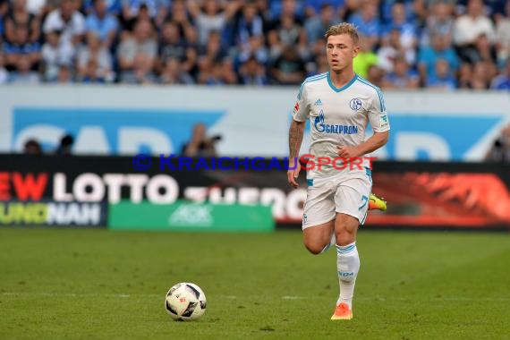 1. BL - 16/17 - TSG 1899 Hoffenheim vs. FC Schalke 04 (© Kraichgausport / Loerz)