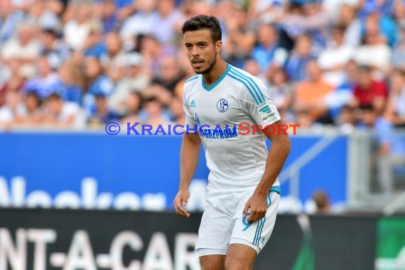 1. BL - 16/17 - TSG 1899 Hoffenheim vs. FC Schalke 04 (© Kraichgausport / Loerz)