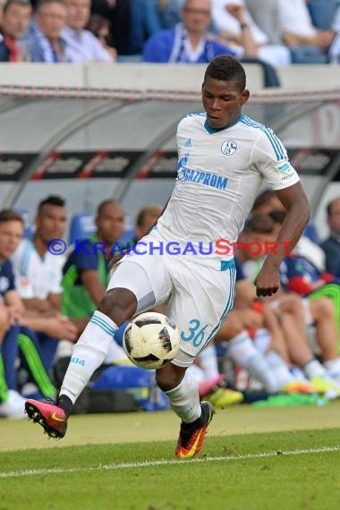 1. BL - 16/17 - TSG 1899 Hoffenheim vs. FC Schalke 04 (© Kraichgausport / Loerz)