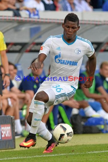 1. BL - 16/17 - TSG 1899 Hoffenheim vs. FC Schalke 04 (© Kraichgausport / Loerz)