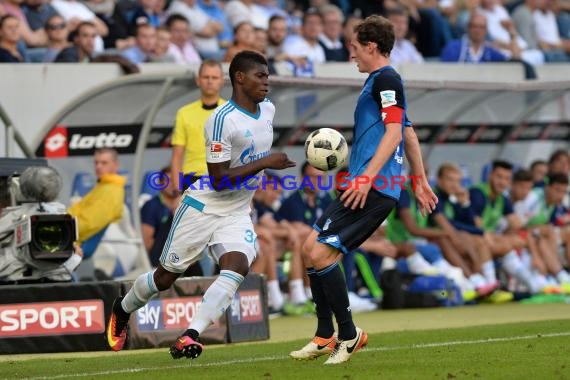 1. BL - 16/17 - TSG 1899 Hoffenheim vs. FC Schalke 04 (© Kraichgausport / Loerz)