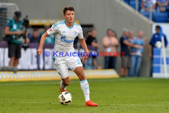 1. BL - 16/17 - TSG 1899 Hoffenheim vs. FC Schalke 04 (© Kraichgausport / Loerz)