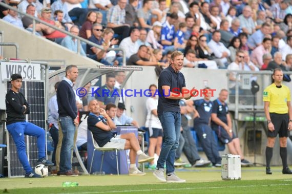 1. BL - 16/17 - TSG 1899 Hoffenheim vs. FC Schalke 04 (© Kraichgausport / Loerz)