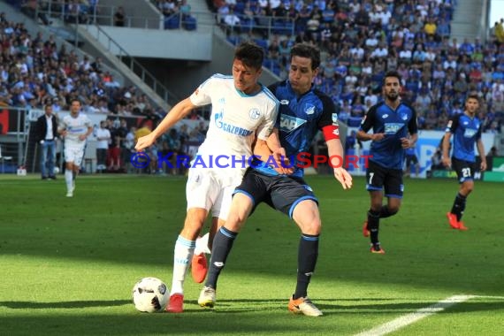 1. BL - 16/17 - TSG 1899 Hoffenheim vs. FC Schalke 04 (© Kraichgausport / Loerz)