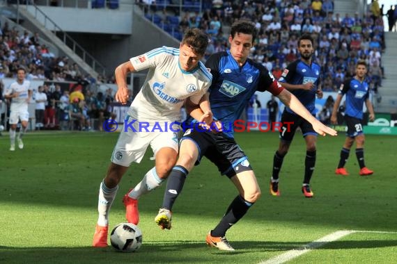 1. BL - 16/17 - TSG 1899 Hoffenheim vs. FC Schalke 04 (© Kraichgausport / Loerz)