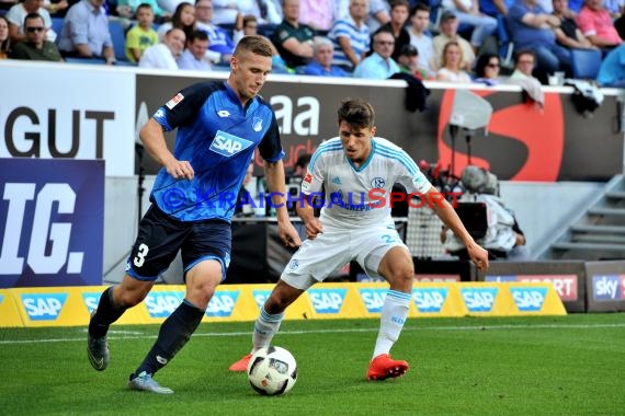 1. BL - 16/17 - TSG 1899 Hoffenheim vs. FC Schalke 04 (© Kraichgausport / Loerz)