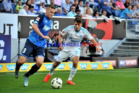 1. BL - 16/17 - TSG 1899 Hoffenheim vs. FC Schalke 04 (© Kraichgausport / Loerz)