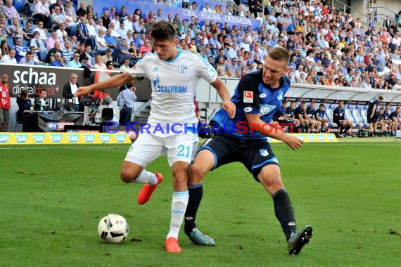 1. BL - 16/17 - TSG 1899 Hoffenheim vs. FC Schalke 04 (© Kraichgausport / Loerz)