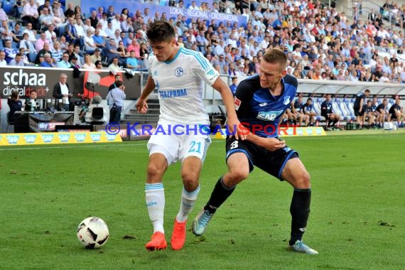 1. BL - 16/17 - TSG 1899 Hoffenheim vs. FC Schalke 04 (© Kraichgausport / Loerz)