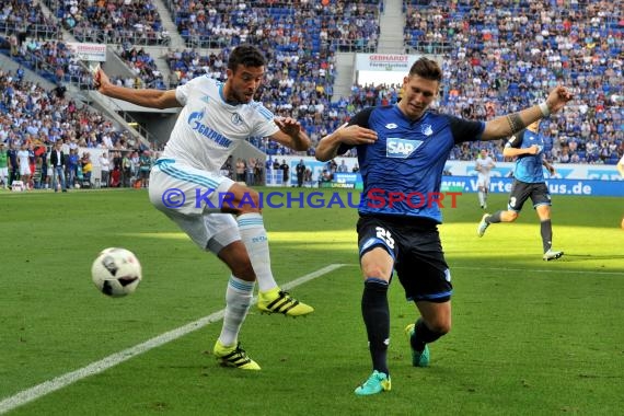 1. BL - 16/17 - TSG 1899 Hoffenheim vs. FC Schalke 04 (© Kraichgausport / Loerz)