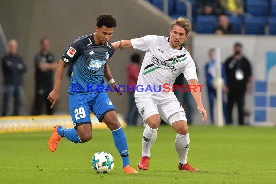 1.BL - 17/18 - TSG 1899 Hoffenheim vs. Hannover 96 (© Kraichgausport / Loerz)