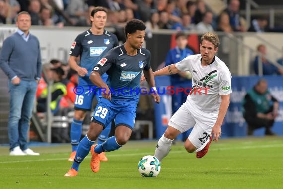 1.BL - 17/18 - TSG 1899 Hoffenheim vs. Hannover 96 (© Kraichgausport / Loerz)